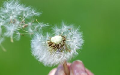 Warum dein Körper plötzlich auf alles reagiert – und was das mit den Wechseljahren zu tun hat